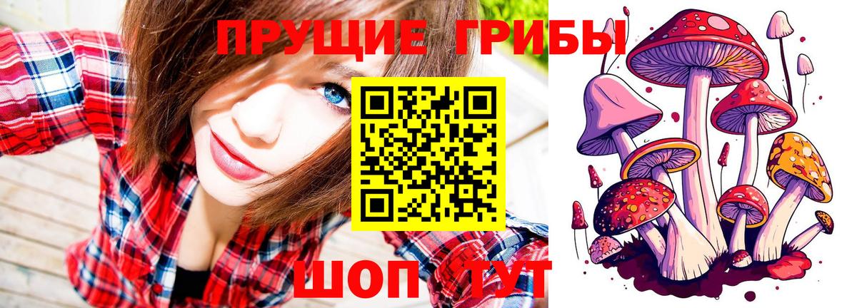 Галлюциногенные грибы Magic Shrooms Богородск